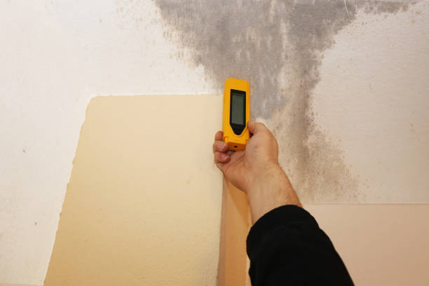 Best Residential Mold Inspection & Testing  in Mobridge, SD