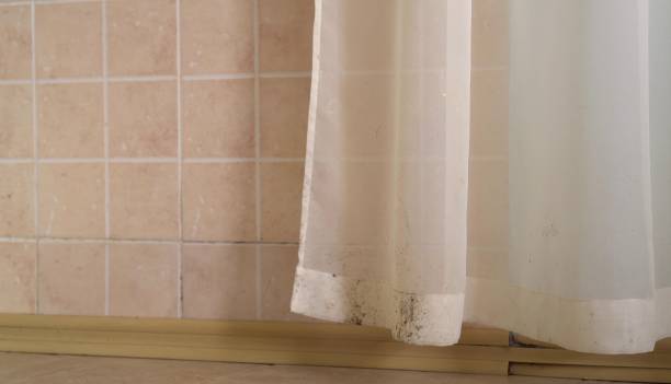 Best Environmental Consulting for Mold Prevention  in Mobridge, SD