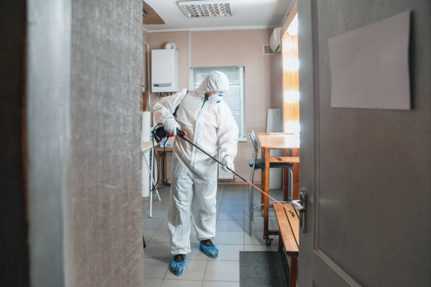 Best Forensic Mold Investigation  in Mobridge, SD