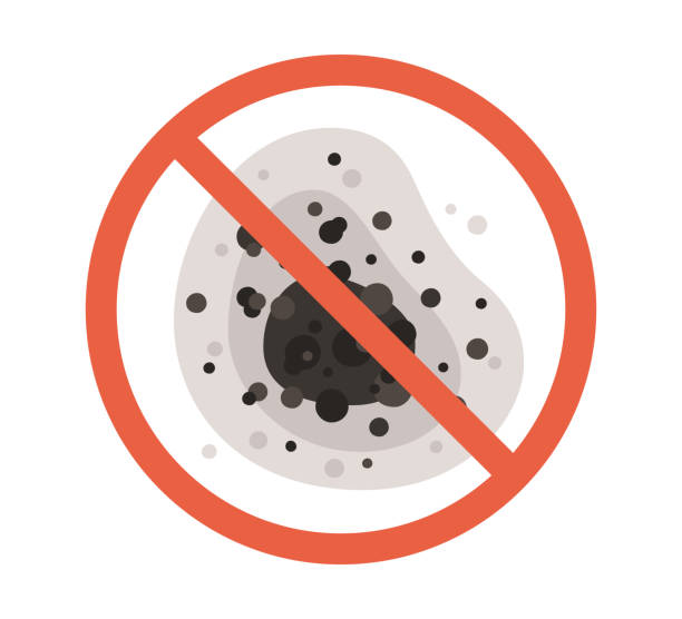 Mobridge, SD Mold Removal Company