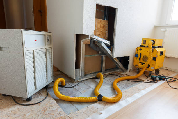 Environmental Consulting for Mold Prevention in Mobridge, SD